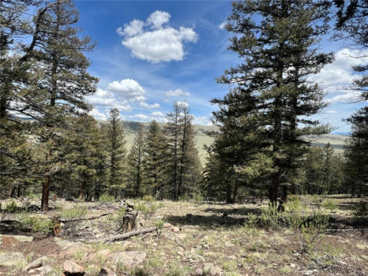 TBD MIDDLE FORK VISTA, FAIRPLAY, CO 80440, photo 5 of 21