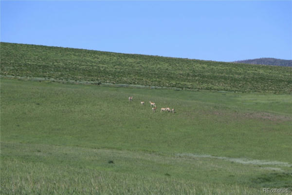 33500 COUNTY ROAD 59A, HAYDEN, CO 81639, photo 3 of 25