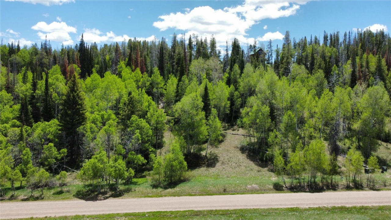 33185 WENATCHI TRL, OAK CREEK, CO 80467, photo 1 of 9