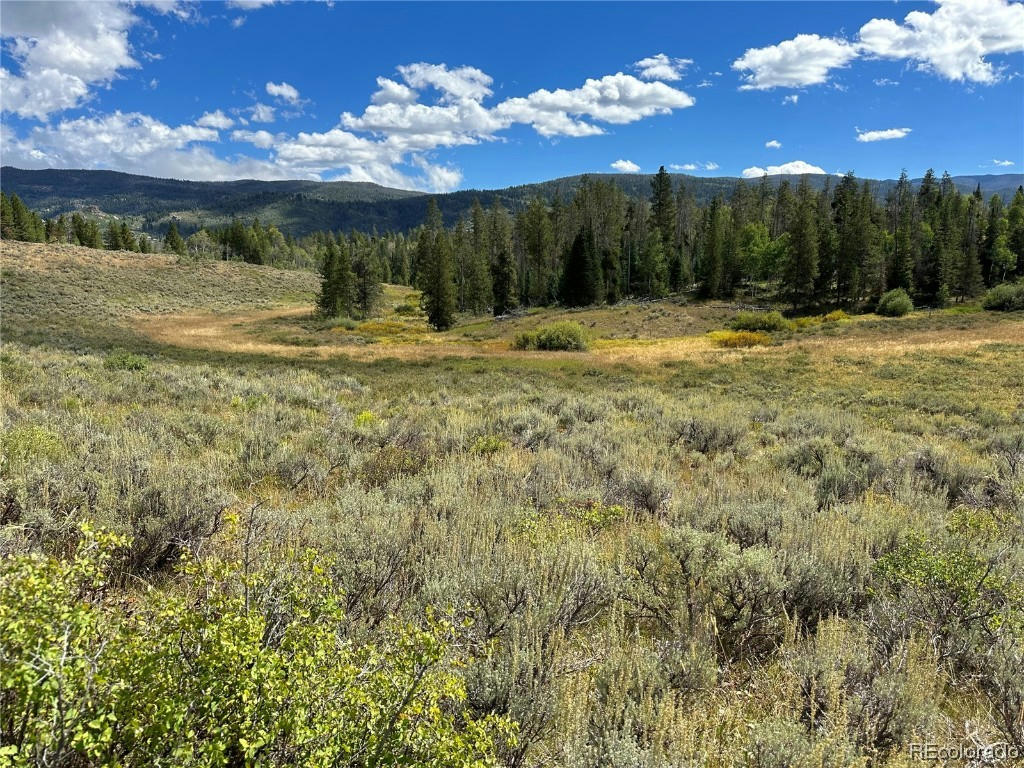 000 HOCH EYE WAY, OAK CREEK, CO 80467, photo 1 of 11