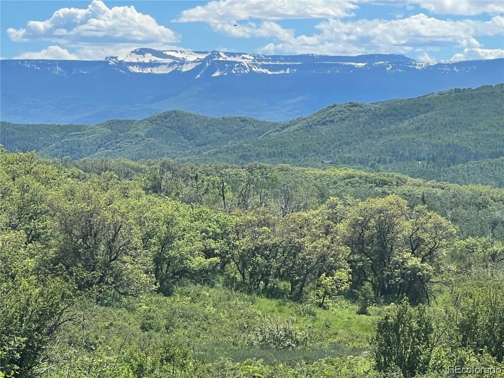 27165 SUNDANCE TRL, STEAMBOAT SPRINGS, CO 80487, photo 1 of 10