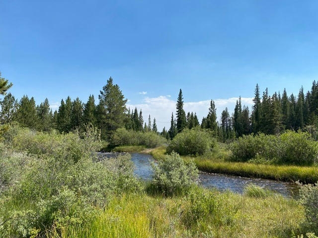 TBD PCR 12, ALMA, CO 80420, photo 1 of 35