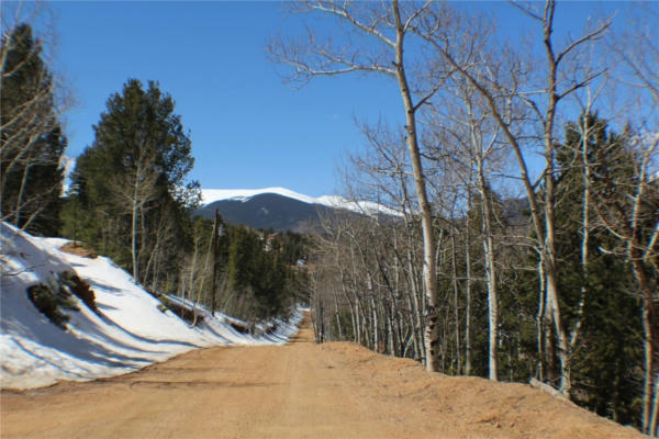 219 WISE RD, BAILEY, CO 80421 - Image 1