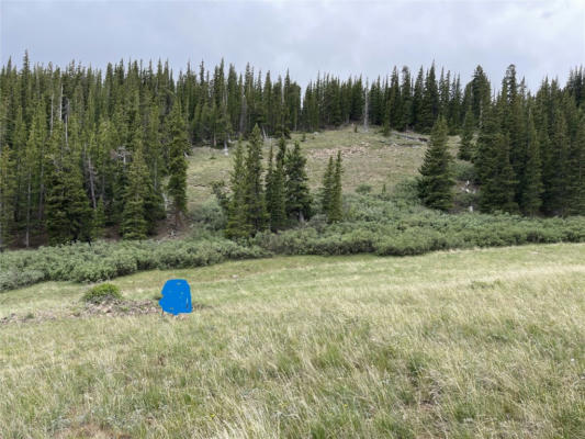 00 FOREST ROAD 450, ALMA, CO 80420 - Image 1