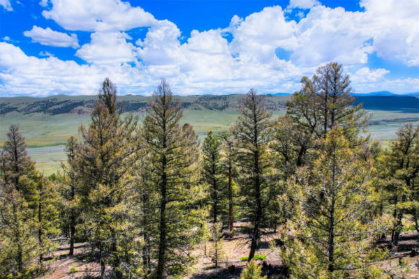 LOT 262 MIDDLE FORK VISTA, FAIRPLAY, CO 80440 - Image 1