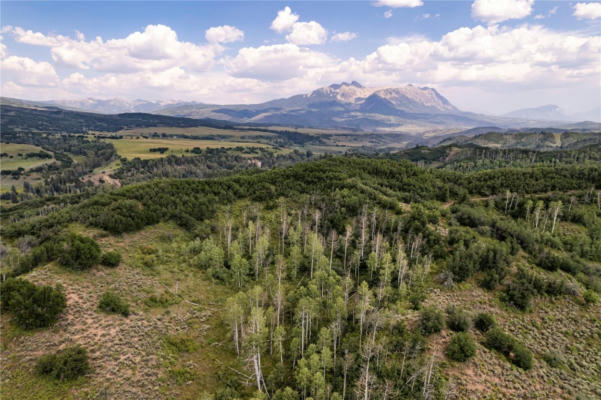 2555 COUNTY ROAD 265, SOMERSET, CO 81434 - Image 1