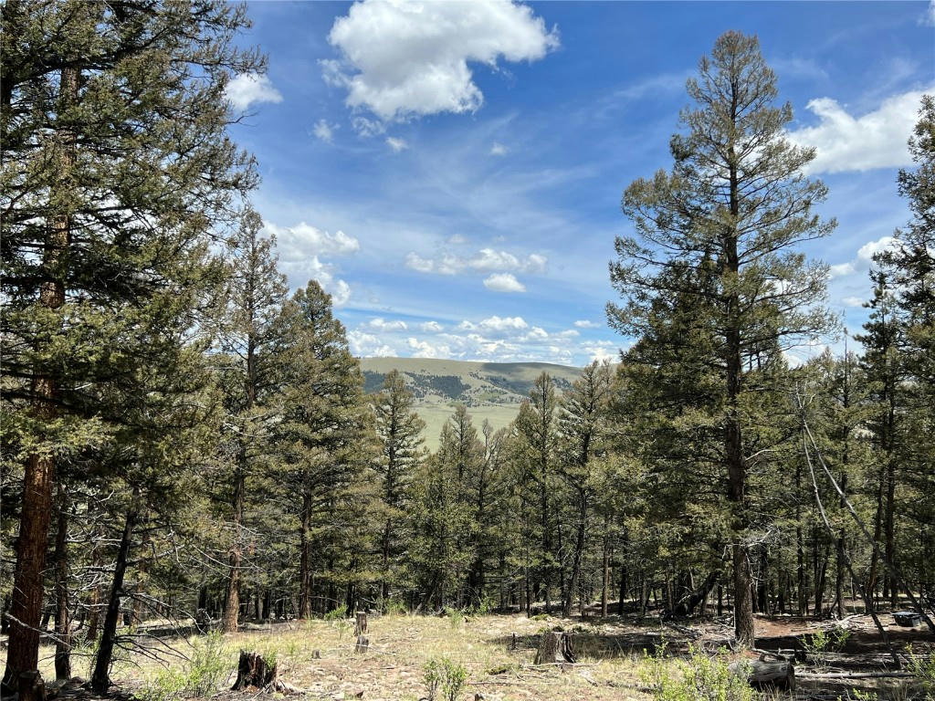 TBD MIDDLE FORK VISTA, FAIRPLAY, CO 80440, photo 1 of 21