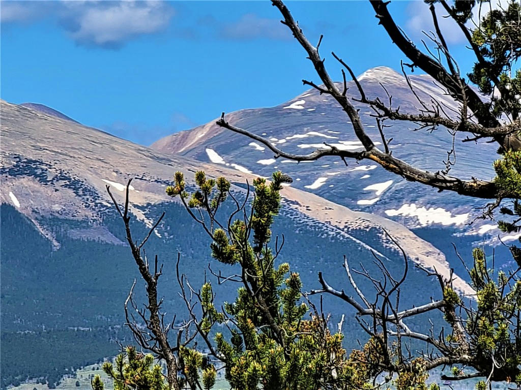 2041 MIDDLE FORK VIS, FAIRPLAY, CO 80440, photo 1 of 35