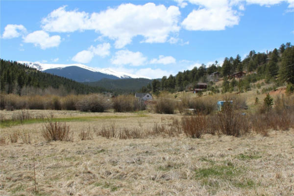 227 MOORE ST, BAILEY, CO 80421 - Image 1