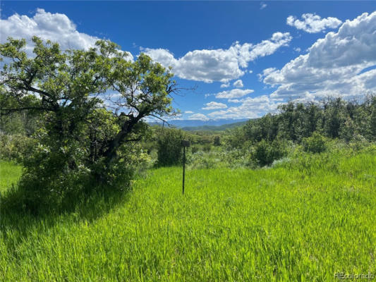 27165 SUNDANCE TRL, STEAMBOAT SPRINGS, CO 80487, photo 3 of 10